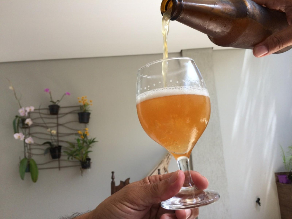 Concurso elege a melhor cerveja artesanal que será oferecida como